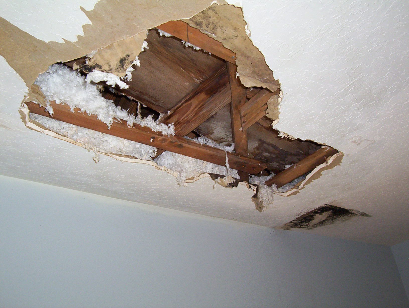 Mold Mitigation Saratoga